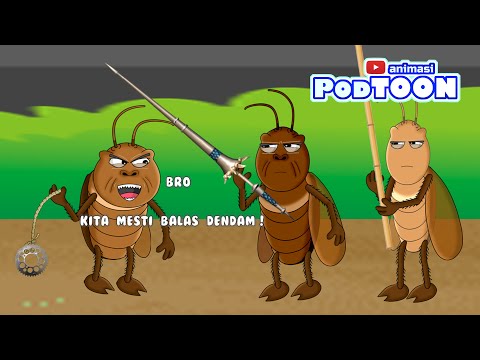 KECOA MAU BALAS DENDAM #1