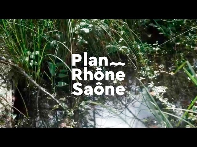 Acteurs du Plan Rhône-Saône - Episode 3 : La restauration des zones humides