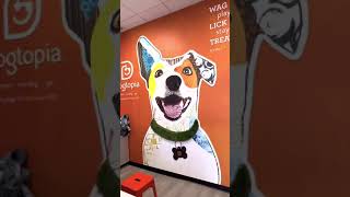 Welcome to Dogtopia of Myrtle Ave!