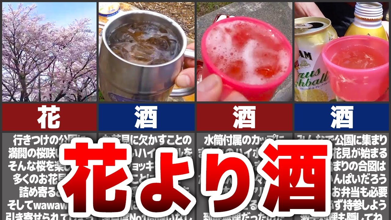 【アル中カラカラ】公園でお花見を楽しむシーン4選【ゆっくり解説】