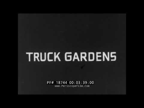POULTRY & TRUCK FARMING 1930s SILENT FILM   CHICKEN & EGG HARVESTING  VEGETABLES (SILENT FILM) 18744