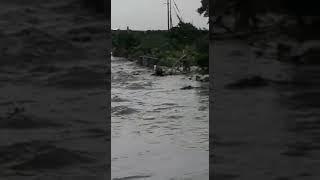 seaview garden flud out (must watch )