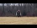 Mysterious Mothman Encounters Caught On Camera