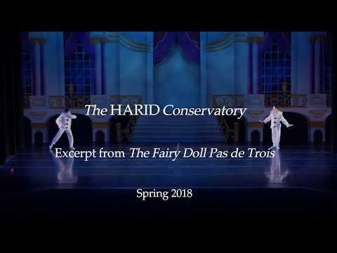 The HARID Conservatory, Excerpt from The Fairy Doll Pas de Trois, Spring 2018