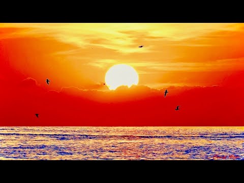 CÜNEYT ALGÜR - GİDEN YILLAR 