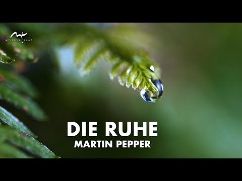 Überlebenswichtig | Die Ruhe | Martin Pepper  Original Video