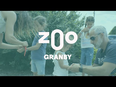 Granby Zoo - Customer Success Story