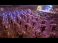 The Flaming Lips - Assassins of Youth [Live Video]