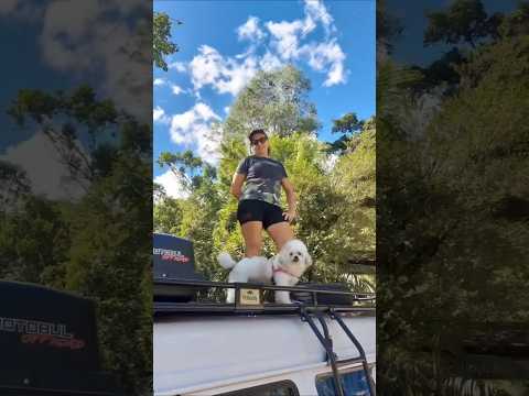 Beleza subterrânea que você precisa ver para crer. ✨ #shorts #GrutasDeBotuverá #SantaCatarina