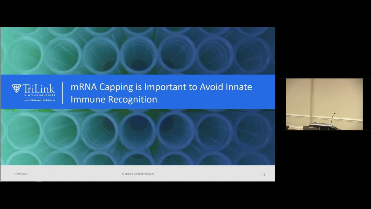 mRNA Manufacturing