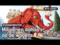 Kijk hier het volledige Bloemencorso van Sint Jansklooster | RTV Oost