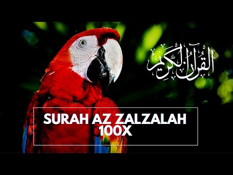 SURAH AZ ZALZALAH  (AL ZALZALAH) HAFALAN 100x | الزلزلة | HAFALAN AZ ZALZALAH 100X