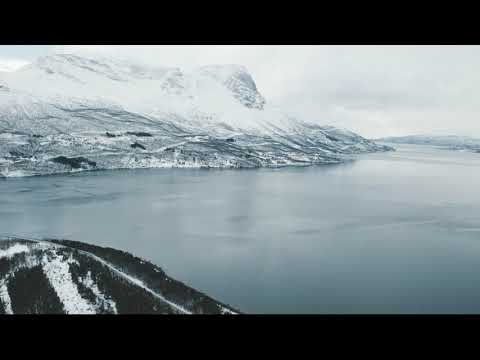 Visit Abisko | Fjäll to Fjord - Narvik Day Trip