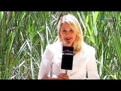 TV BAYERN LIVE* vom 06.07.2014