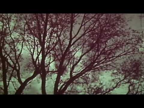 Winter video