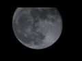 Prefab Sprout - Moon Dog