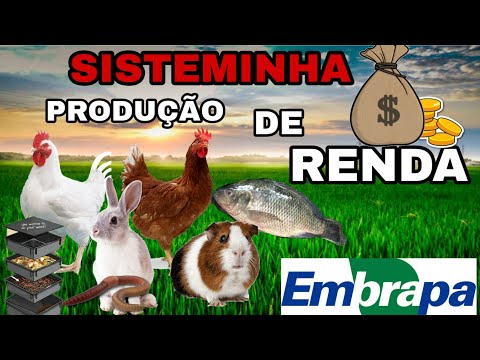 , title : 'TORNE SEU SÍTIO LUCRATIVO- sisteminha EMPRAPA!'