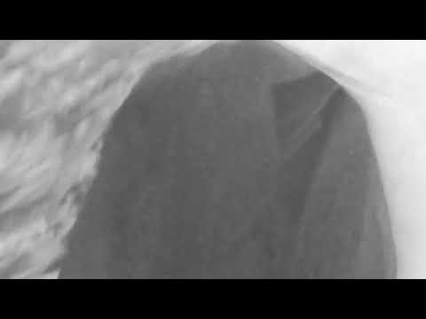 NATIIVE - Coming Home (feat. Shoffy)