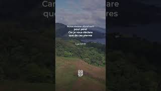 Luc 3:7-9 Louis Segond #biblevision #labible