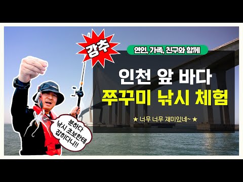 인천시ㅣ[당일치기] 인천에서 재미있게 즐기는 바다낚시 체험 방법