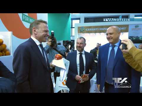 TVA NOTIZIE 05-02-26