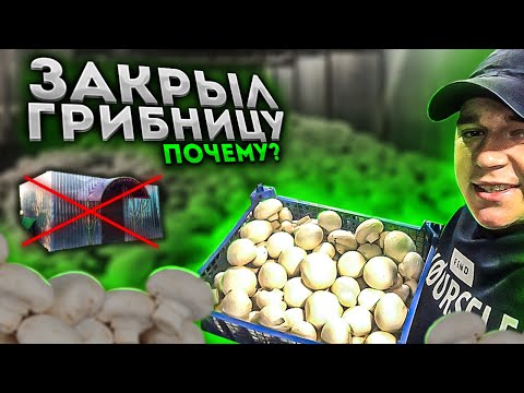 , title : 'ЗАКРЫЛ ГРИБНИЦУ! Больше не выращиваю грибы! Что произошло? Выращивание шампиньонов.'