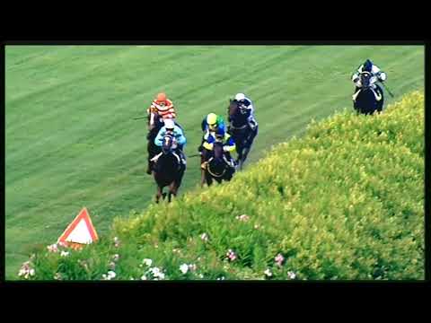 Galoppo 01/08/2020 - 3ª corsa