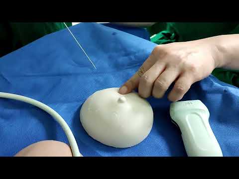 Medical training manikin: ultrasound-guided breast biopsy  : A-nikin