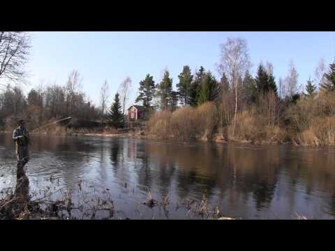 Kalastus pintaperhoilla