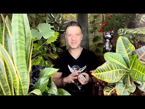 SCORPIO ♏️ INCREDIBLE WEEK | Horoscope Tarot 13 - 19 February 2023