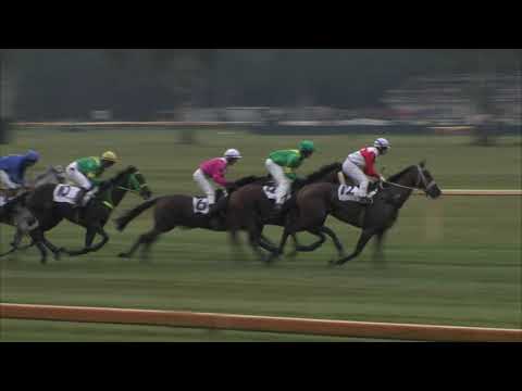 2. dostih - Steeplechase společnosti Pragis - dostihy Lysá nad Labem 28. 9. 2020