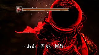 このクエストだした運営をうらむ。世界中が絶賛した理不尽ゲーを完全初見でプレイする＃１３