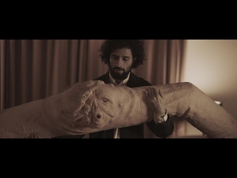 José González - Open Book (Official Music Video)