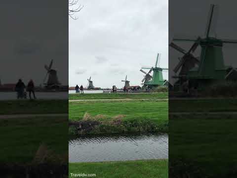 قرية الطواحين زانس في هولندا