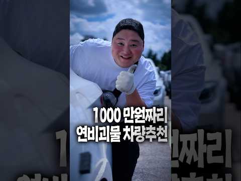 연비 좋고 가격 폭락된 중고차추천