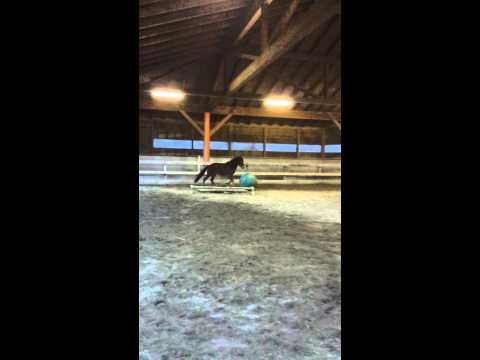 Zipfel der Fussballer