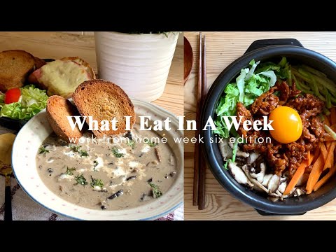What I Eat: Bibimbap, Korean Beef Stew, Cream of...