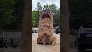 Download lagu Hidden Buddha Revealed Inside a Tree Log! 🤯 #WoodCarving #Buddha #WoodArt #Satisfying mp3