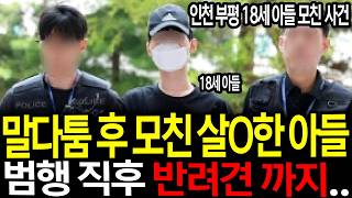 Download lagu 인천 부평 18세 아들 모친 사건, 말다툼 끝 어머니 살O한 10대 아들.. 범행 직후 반려견 까지.. mp3