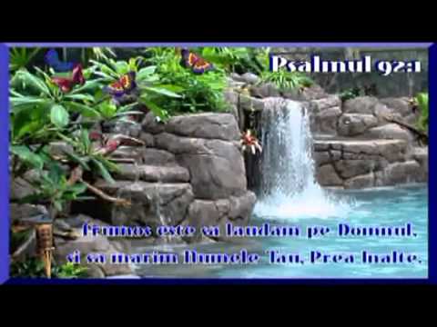 PETCA V =PT EVANGHELIZARI=CANTARI=BOTEZURI MISIUNE =GRATIS=