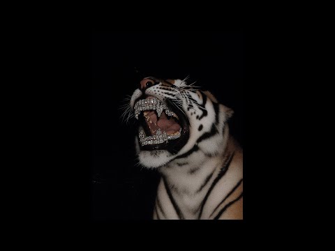 Oboy x Hamza Type Beat - "No limit" (prod. dibi)