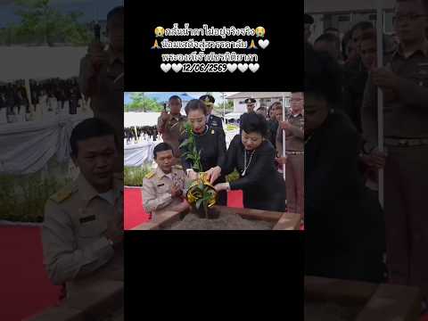 สถิตย์ในใจไทยทั่วหล้า🤍🤍😭😭🙏#พระองค์เจ้าพัชรกิติยาภา