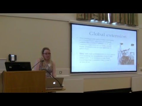 False but useful beliefs about epistemic normativity