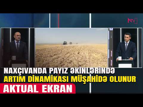 AKTUAL EKRAN: NAXÇIVANDA PAYIZ ƏKİNLƏRİNDƏ ARTIM DİNAMİKASI MÜŞAHİDƏ OLUNUR 22.10.2026