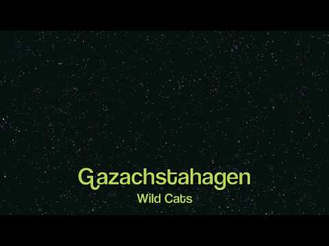 Gazachstahagen - the Wild Cats 1959