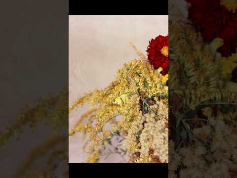 #yashica TL Electro | #Kodak Vision 3 200T #flowers