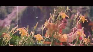 Download lagu Mabak songs mp3 Download lagu Mabak songs mp3