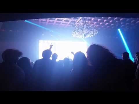 Twerk Circus! Gamma drops tell me why-diskord