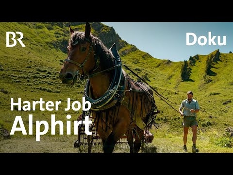 Harter Job Alphirt | Ein Jahr mit Bäne | Doku 3/6 | Alpe | Bergmenschen | BR