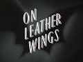 Every Title Card In Batman The Animated Series